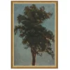 Tree Top
