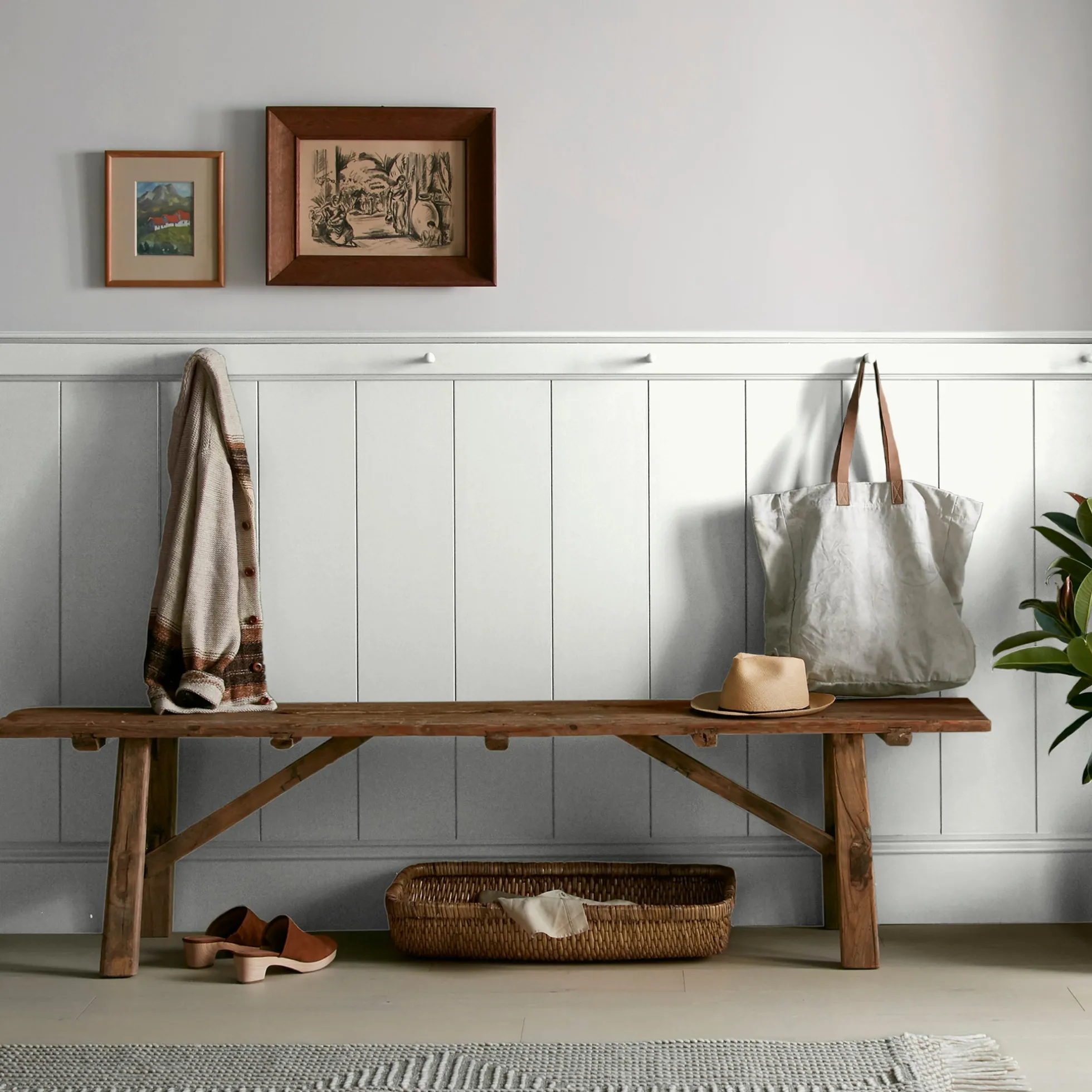 True White - Classic Interior Paint
