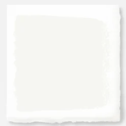 True White - Exterior Paint