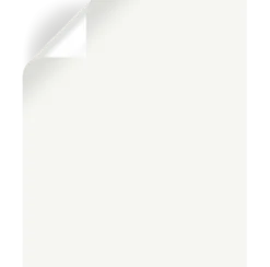 True White - Premium Interior Paint