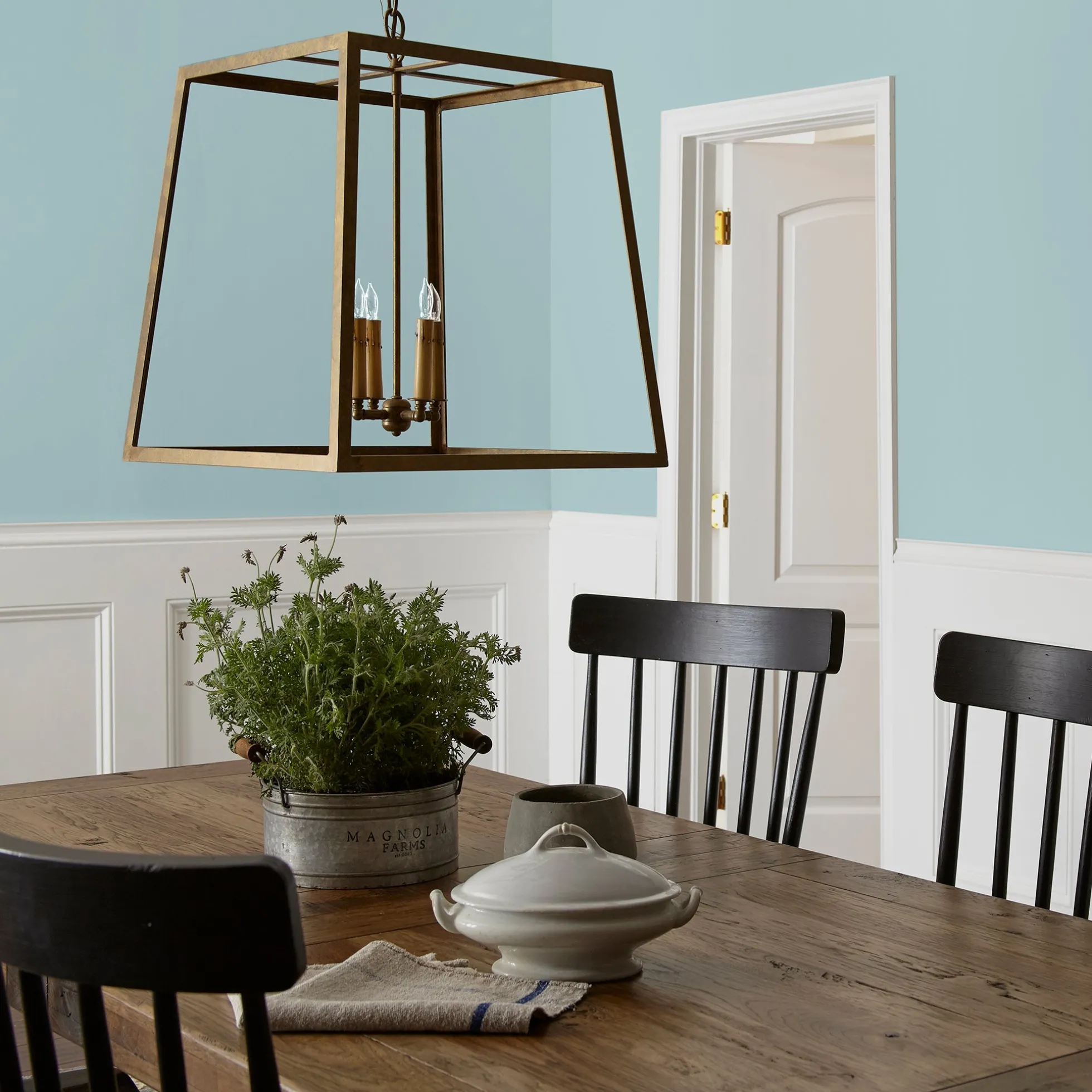 Vibrant Horizon - Classic Interior Paint