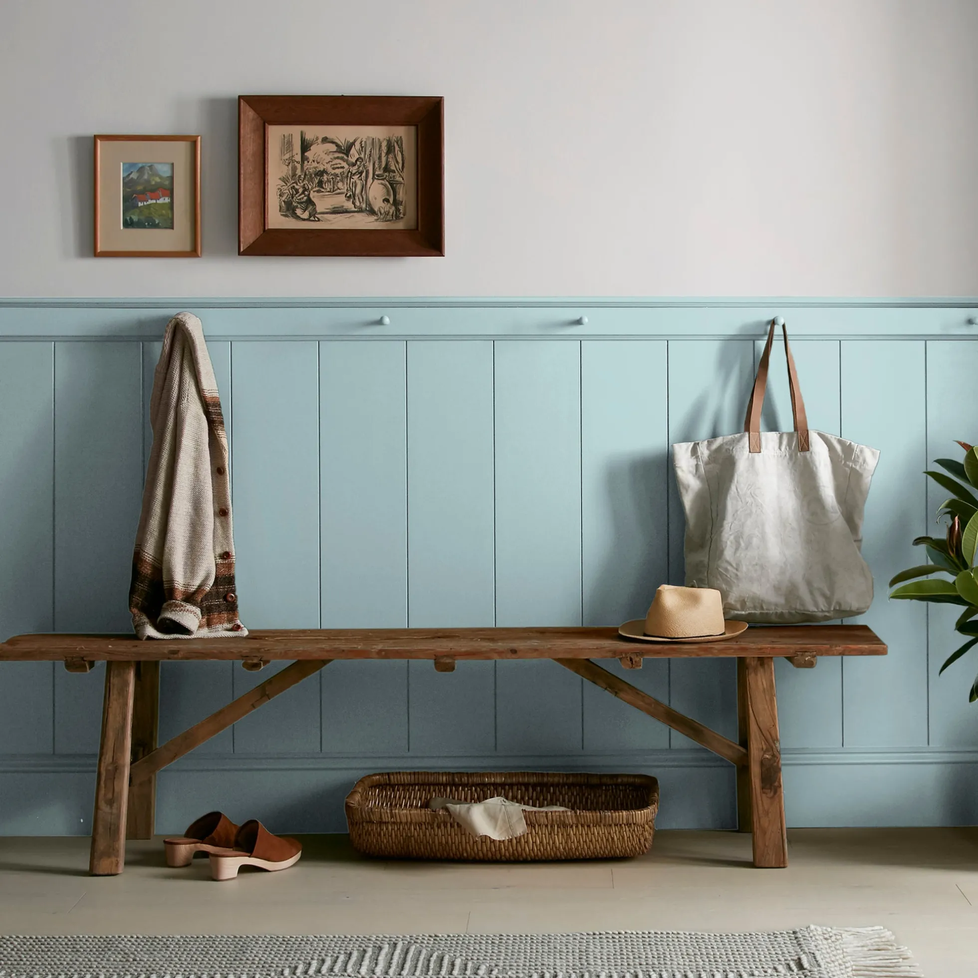 Vibrant Horizon - Classic Interior Paint