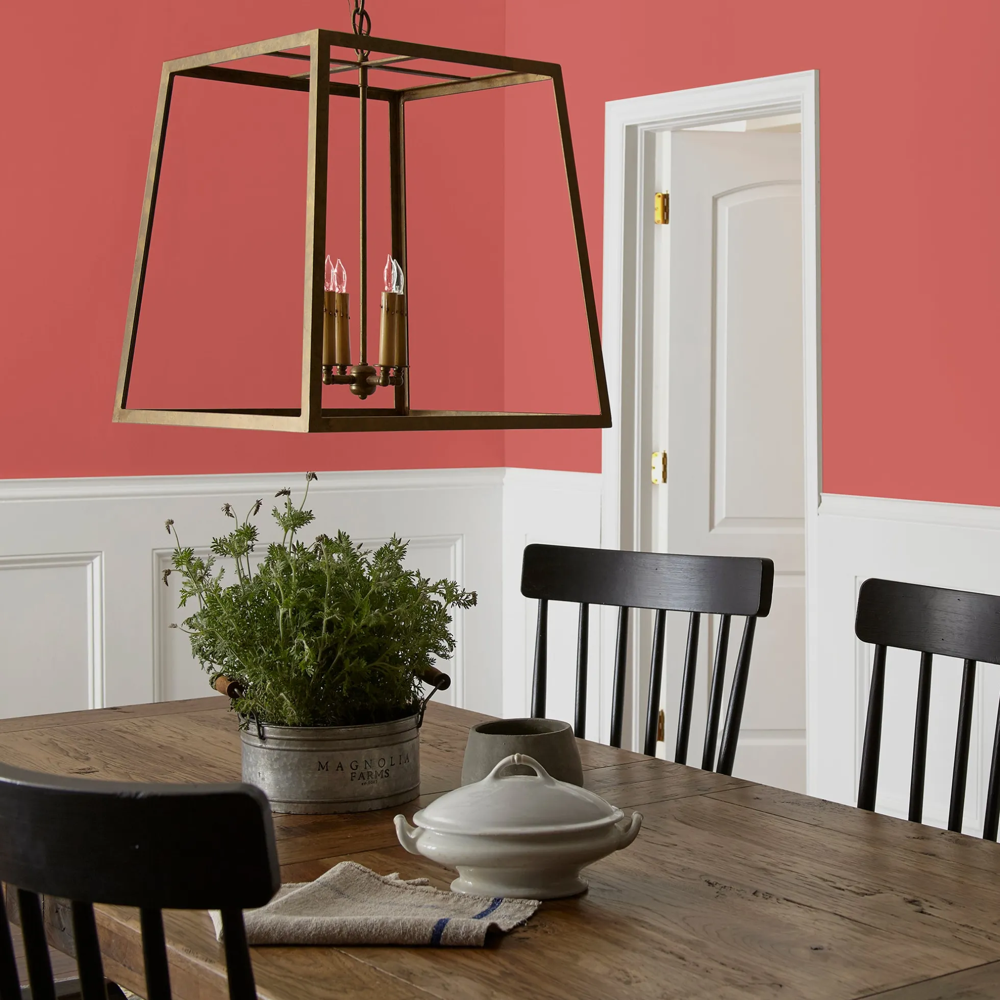 Vine Ripened Tomato - Premium Interior Paint