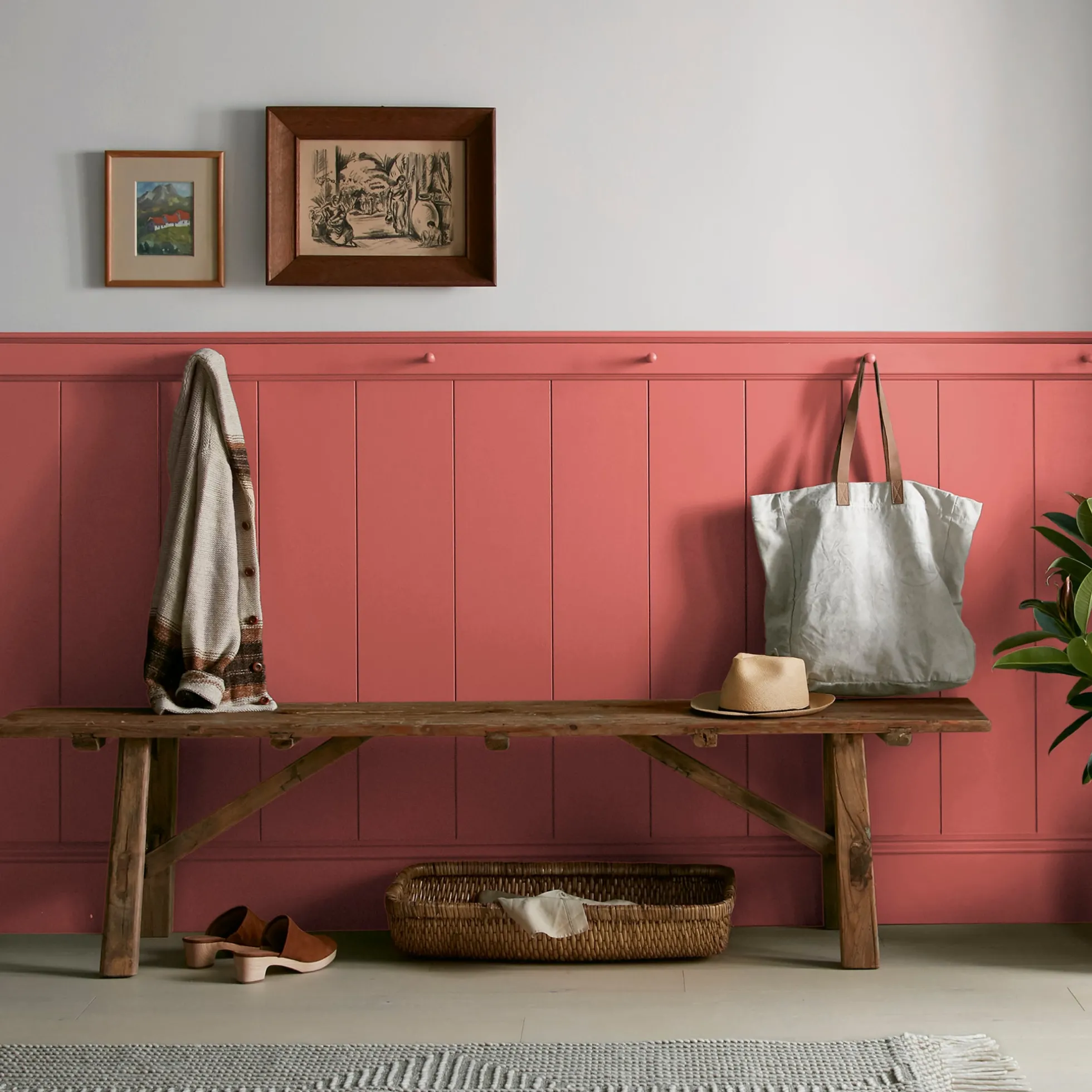 Vine Ripened Tomato - Premium Interior Paint