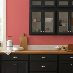 Vine Ripened Tomato - Premium Interior Paint