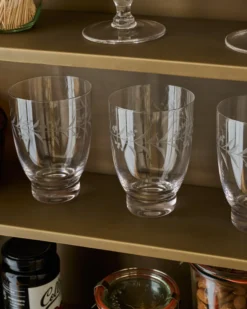 Vintage-Inspired Etched Glass Tumbler