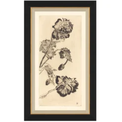 Vintage Peony I