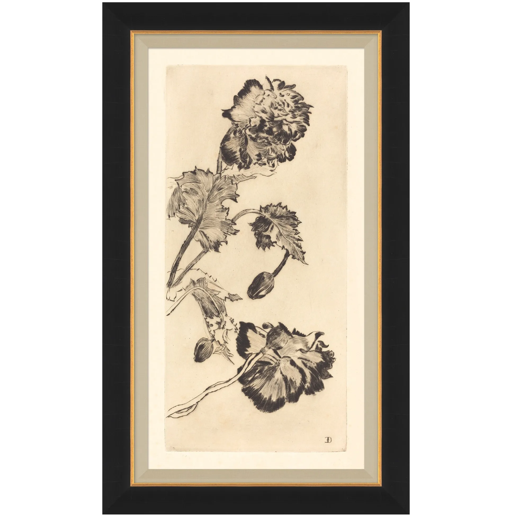 Vintage Peony I