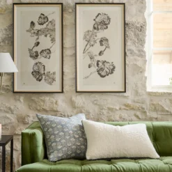 Vintage Peony I
