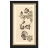 Vintage Peony II