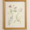 Watercolor Floral Framed Print
