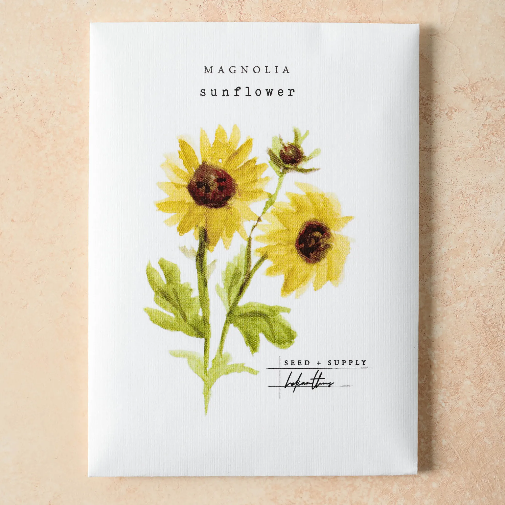 Watercolor Magnolia Seeds