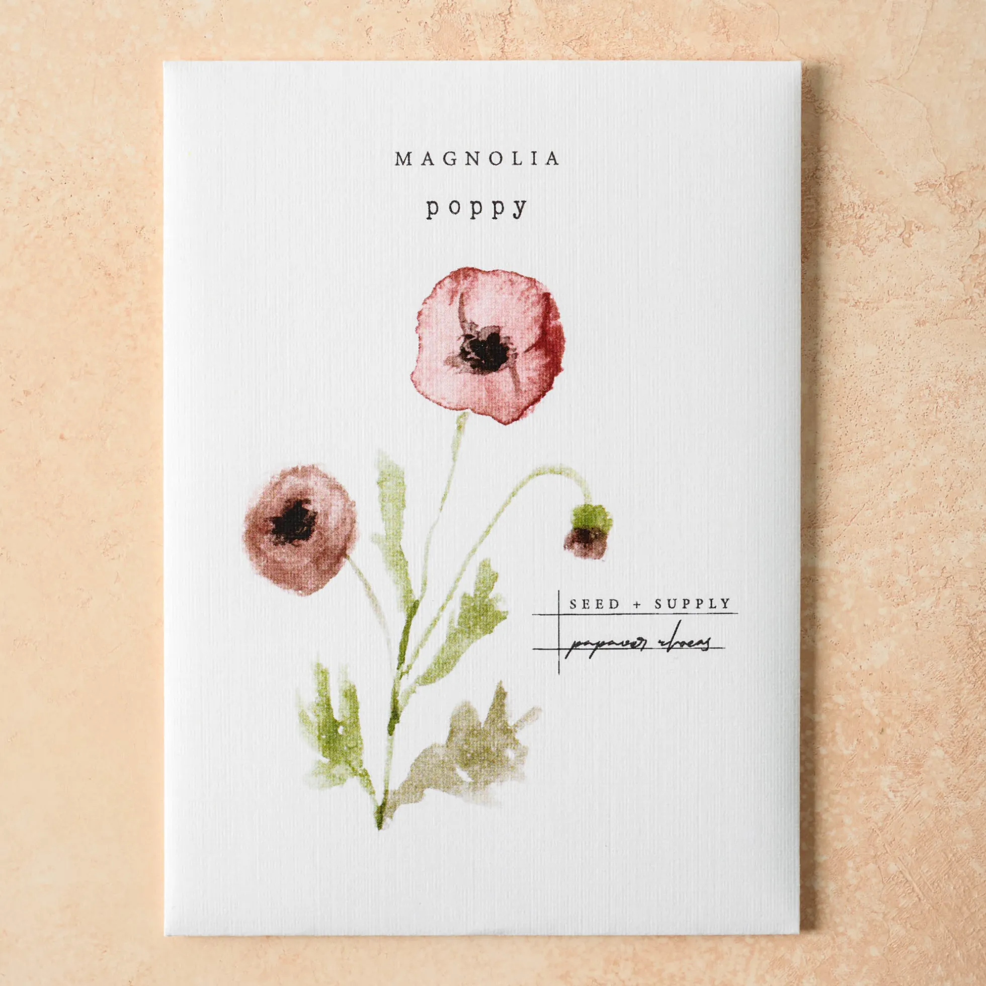 Watercolor Magnolia Seeds