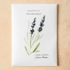 Watercolor Magnolia Seeds