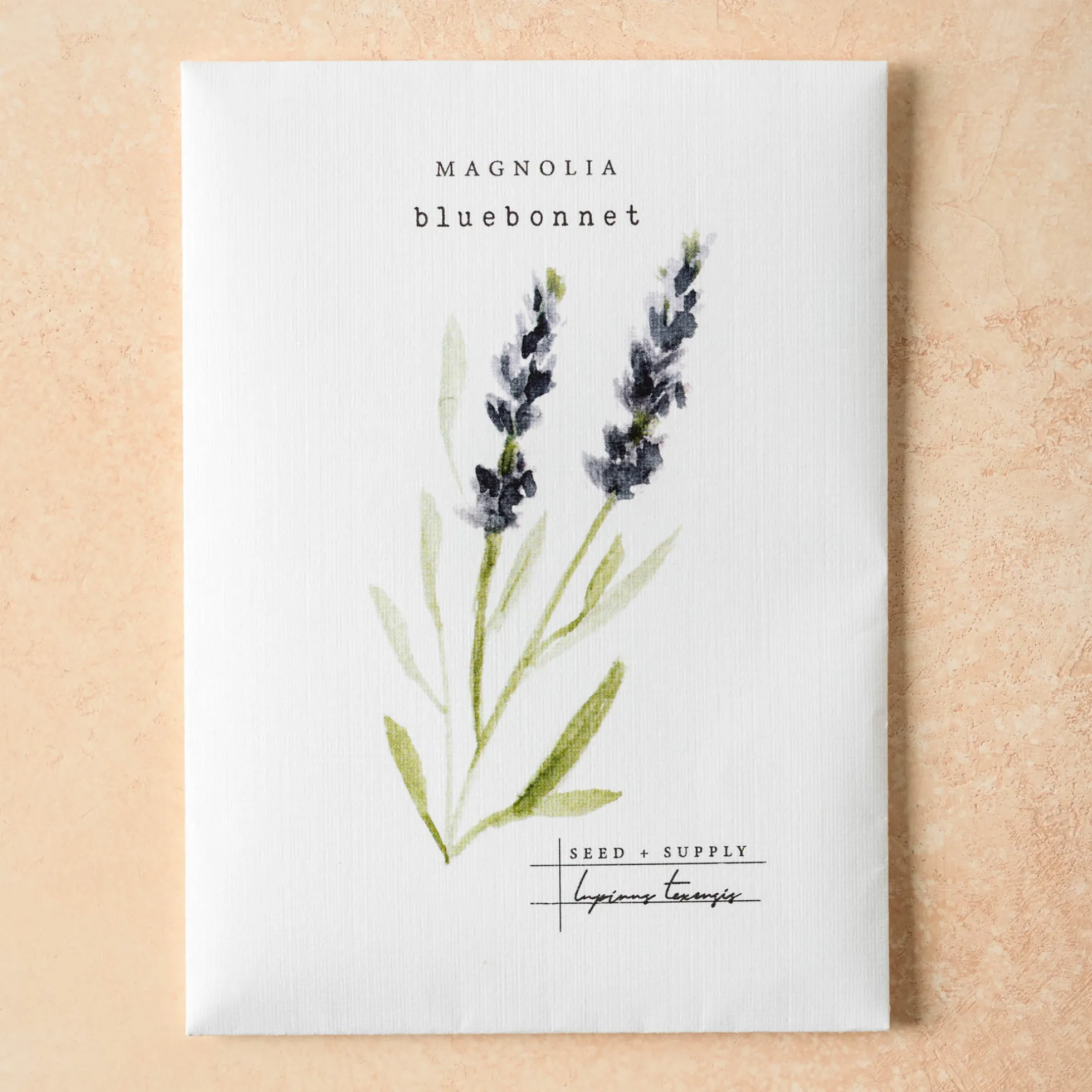 Watercolor Magnolia Seeds