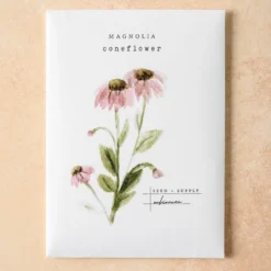 Watercolor Magnolia Seeds