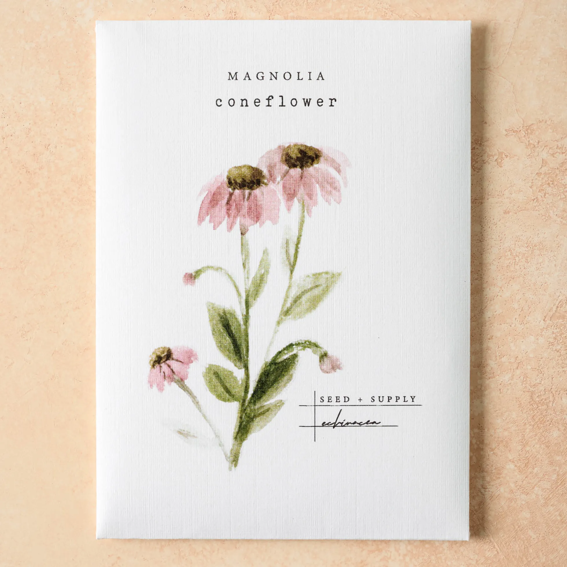 Watercolor Magnolia Seeds