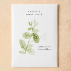 Watercolor Magnolia Seeds