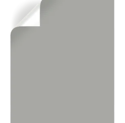 Weathered Windmill - Premium Interior Paint