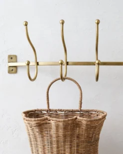 Webster Antique Brass Hook Rack