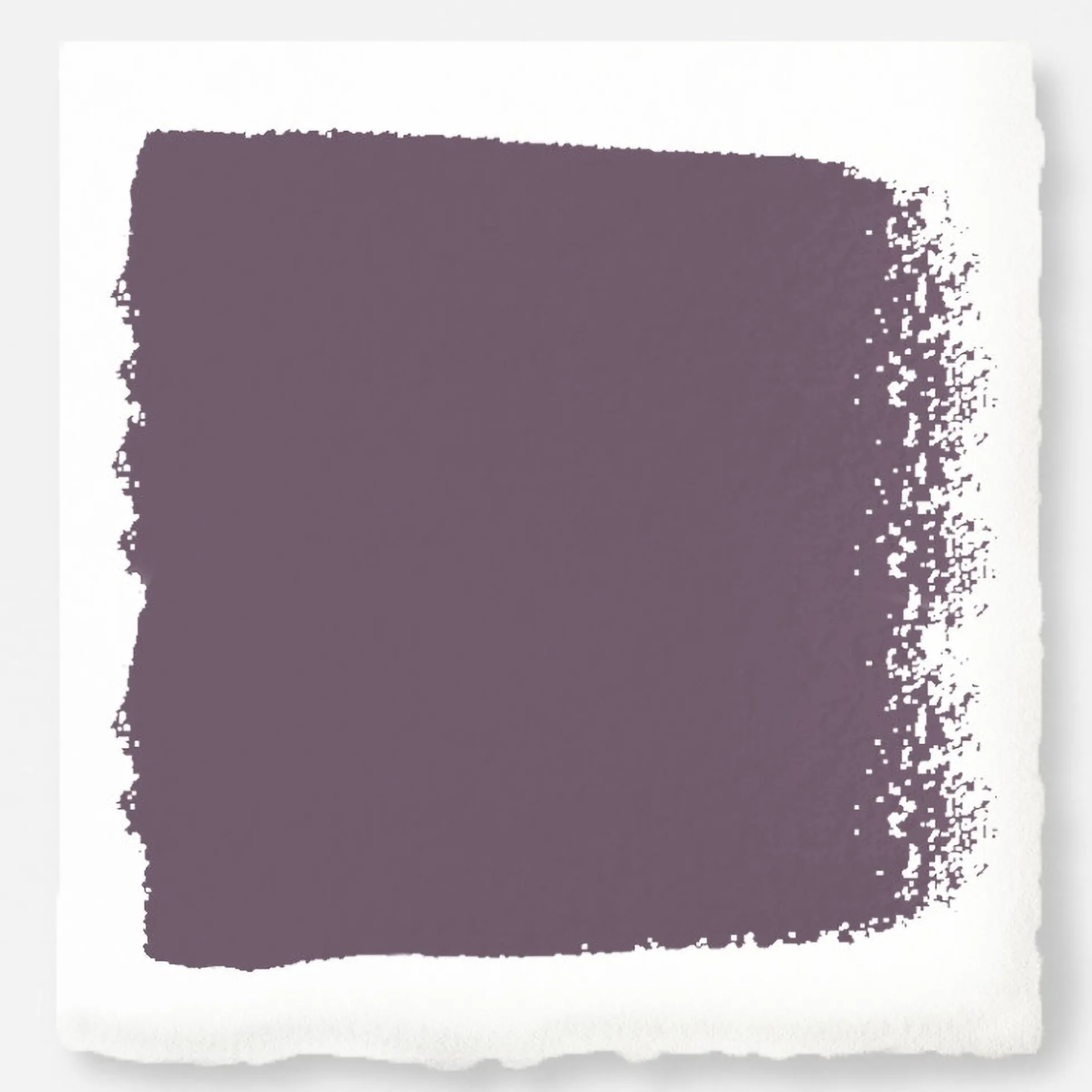 Webster Avenue - Classic Interior Paint