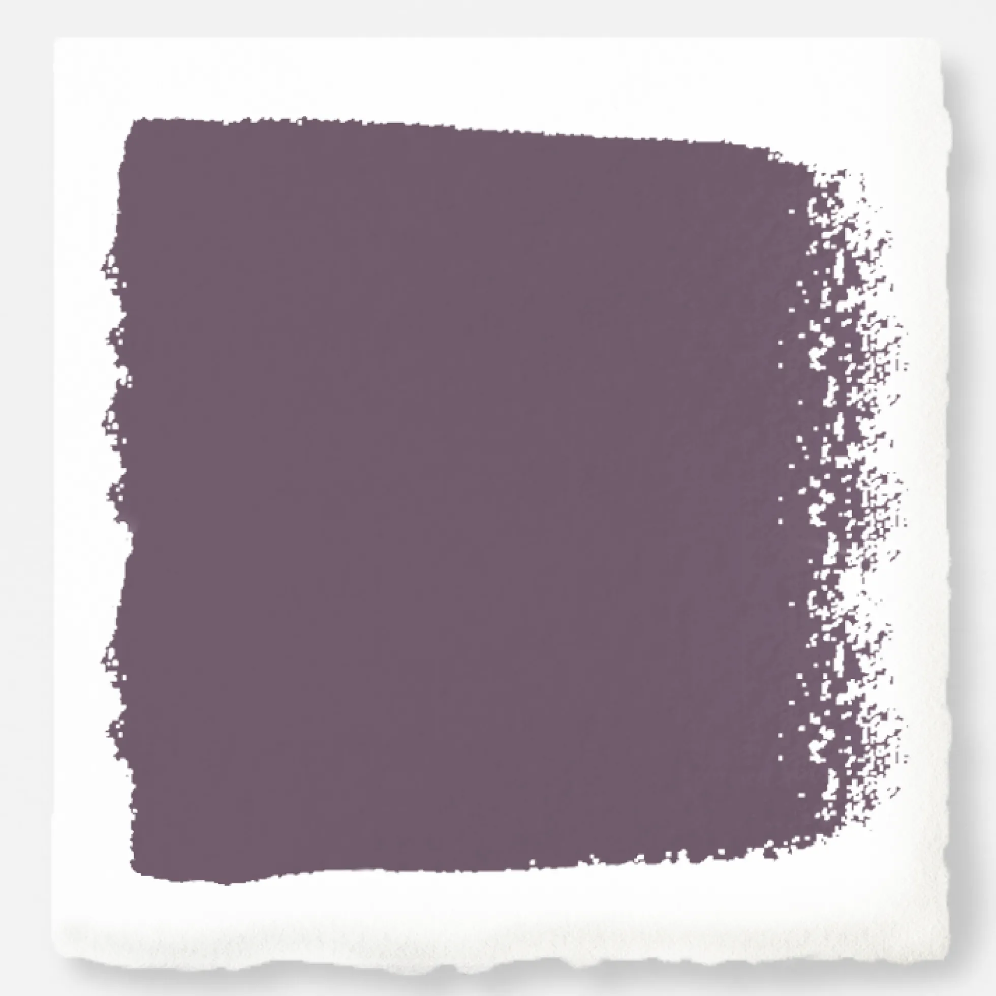 Webster Avenue - Premium Interior Paint