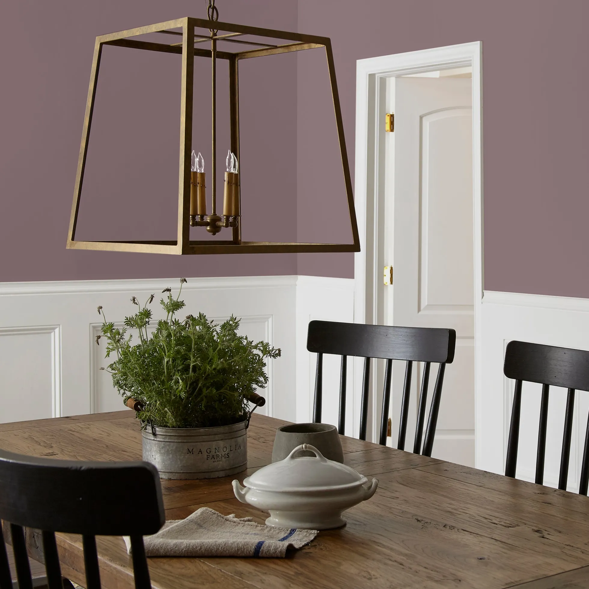 Webster Avenue - Premium Interior Paint