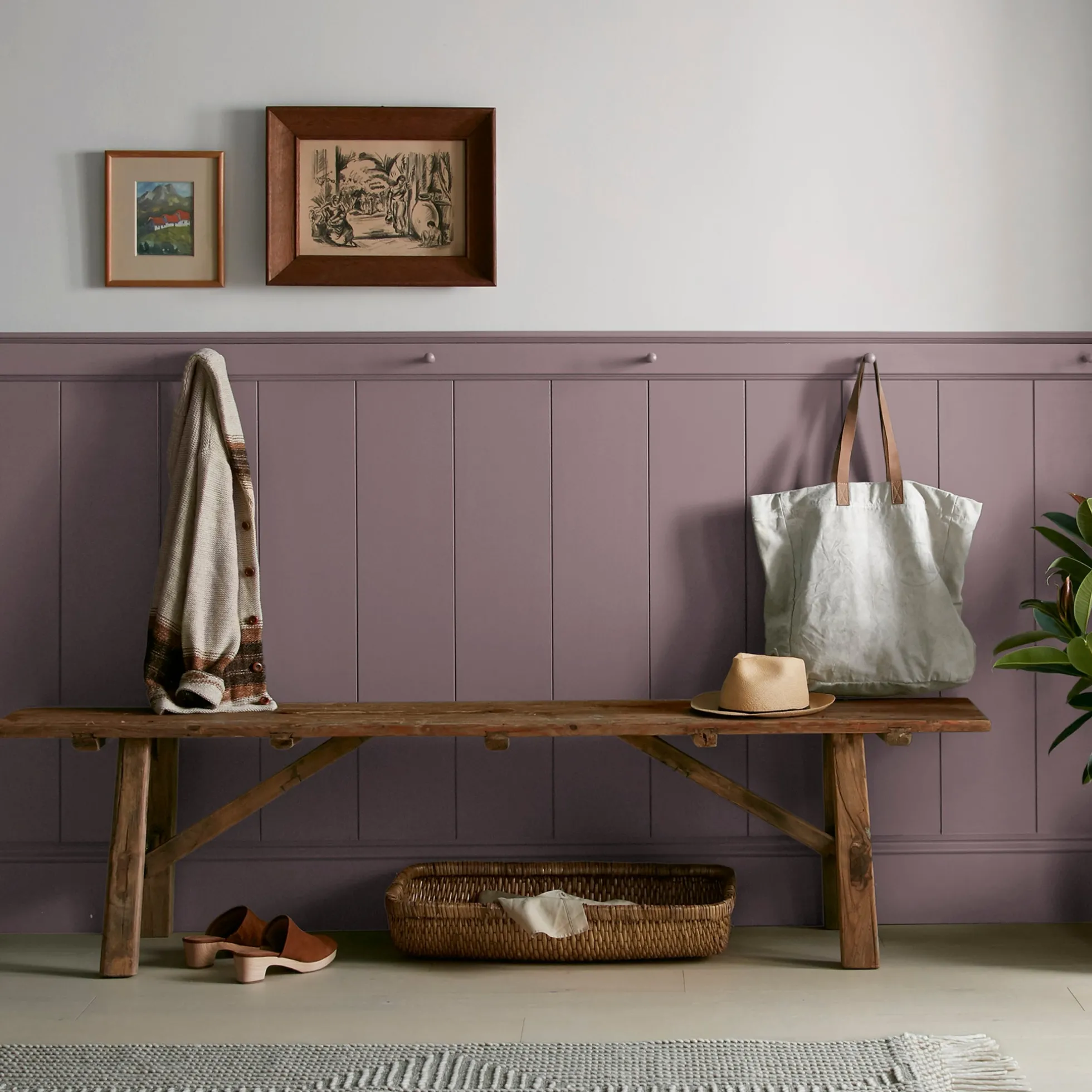 Webster Avenue - Premium Interior Paint