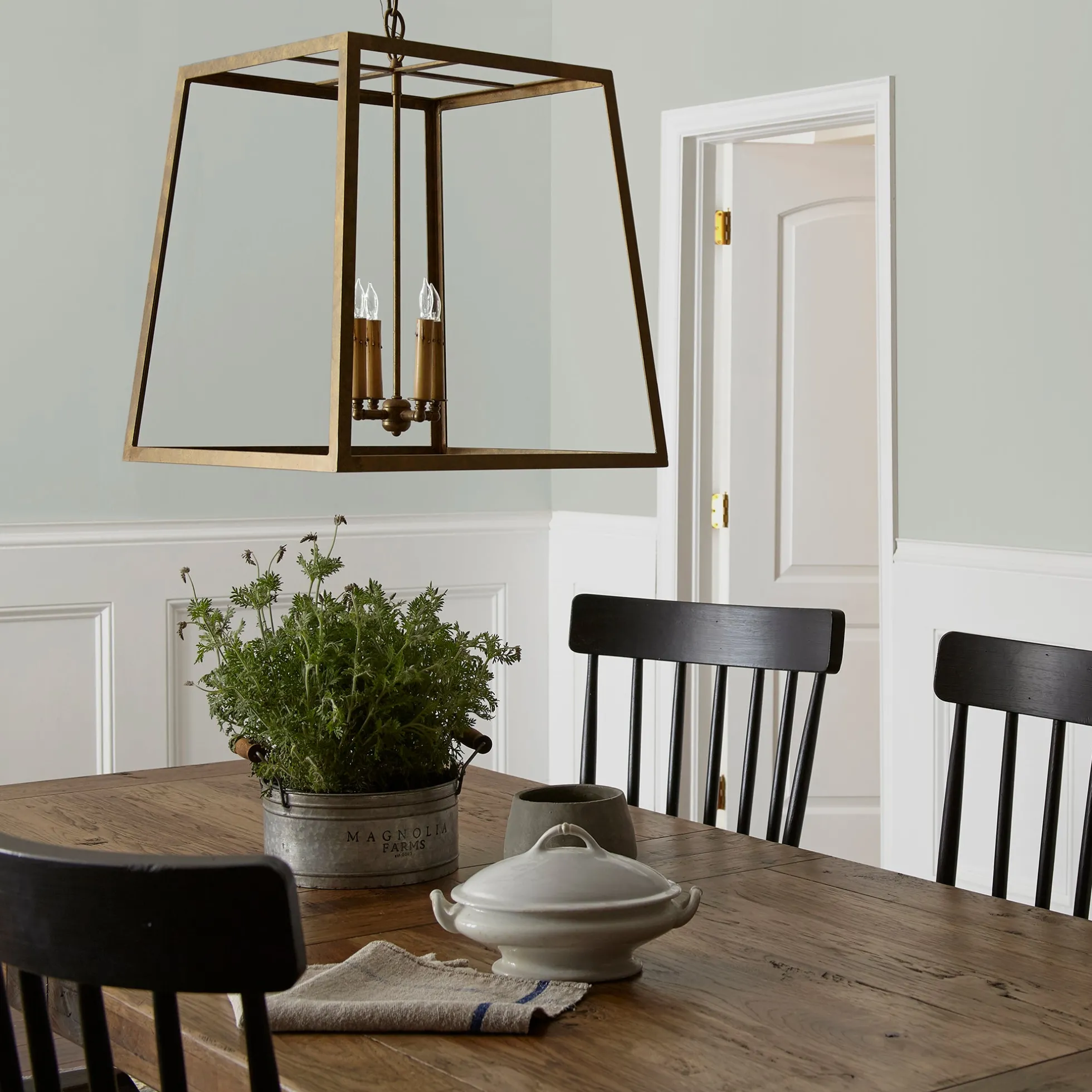 Wedding Band - Premium Interior Paint