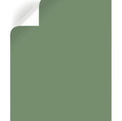 Wellington Green - Exterior Paint