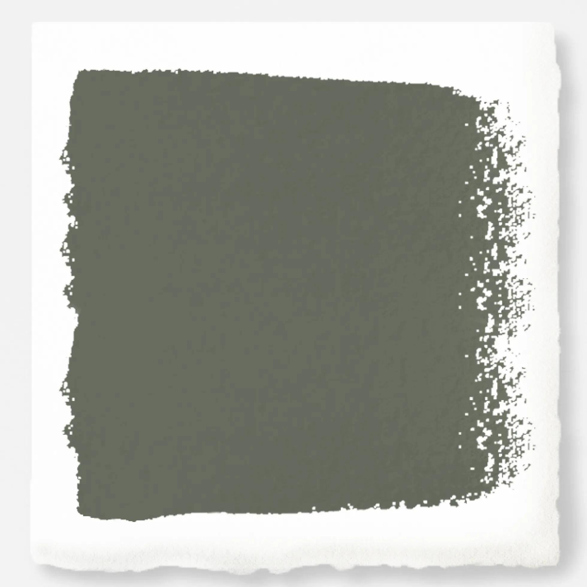 Wellington Green - Premium Interior Paint