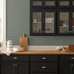 Wellington Green - Premium Interior Paint