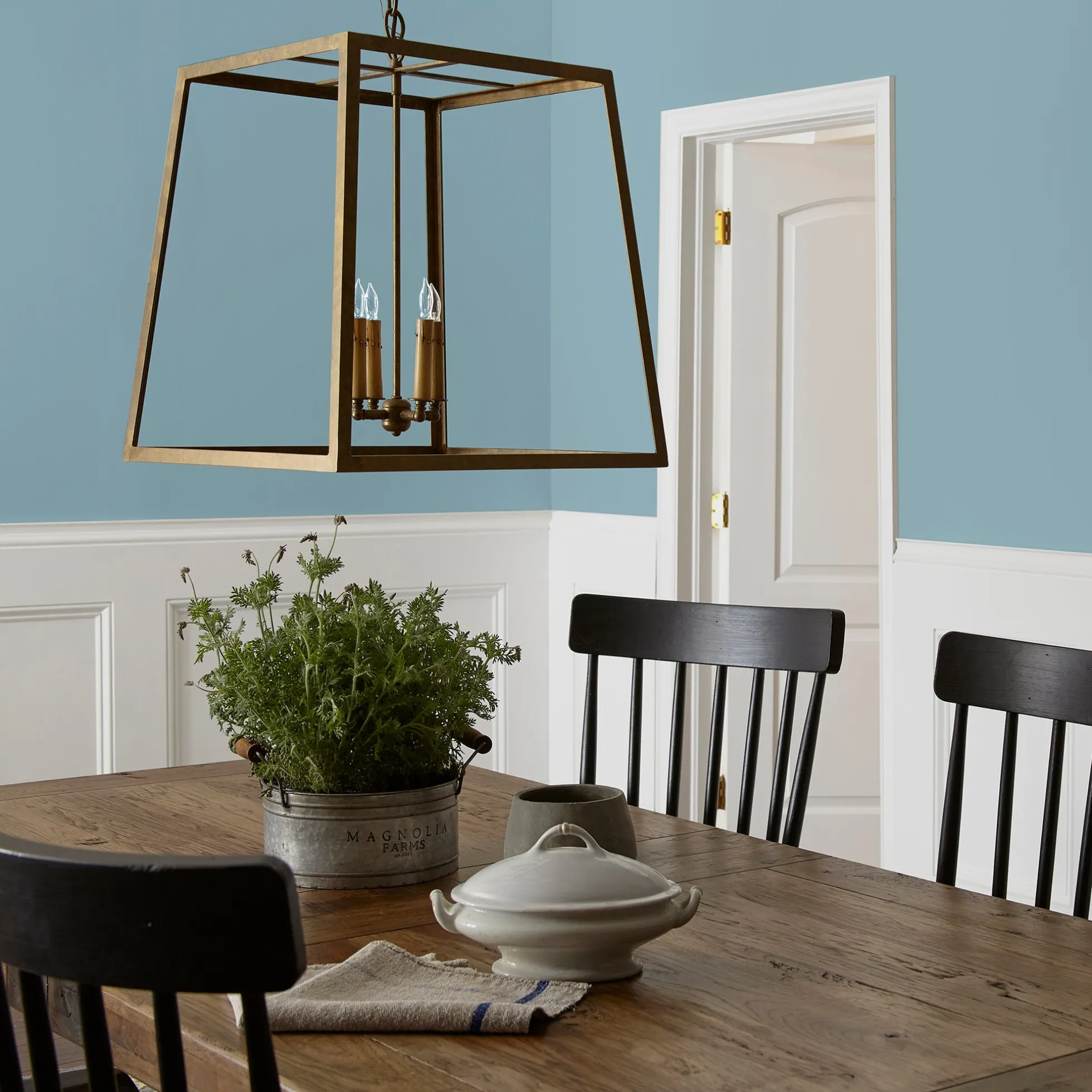 Winter Solstice - Premium Interior Paint