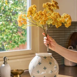 Yellow Queen Anne Lace Bush
