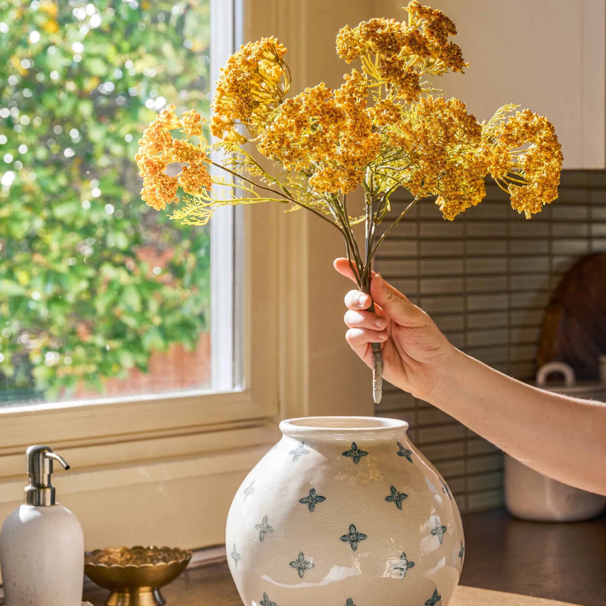 Yellow Queen Anne Lace Bush