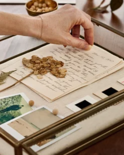 Your Story Brass Display Cabinet